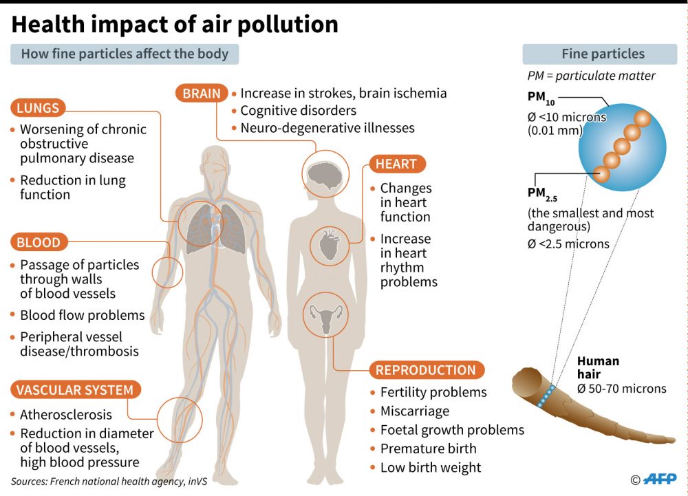 Impact of air pollution on human health