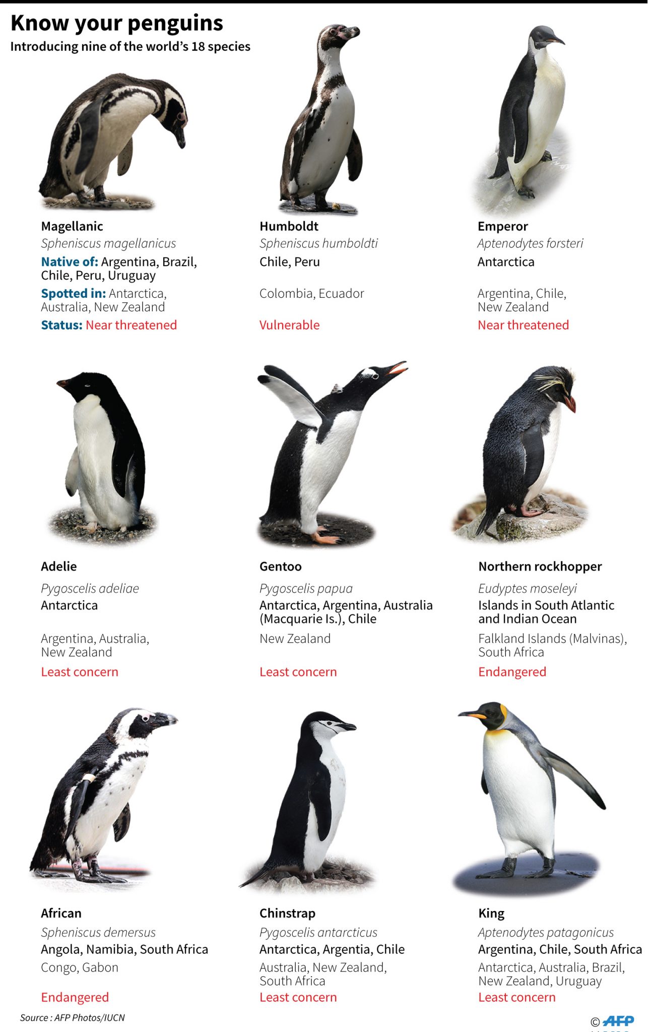 April 25 is World Penguins Day!