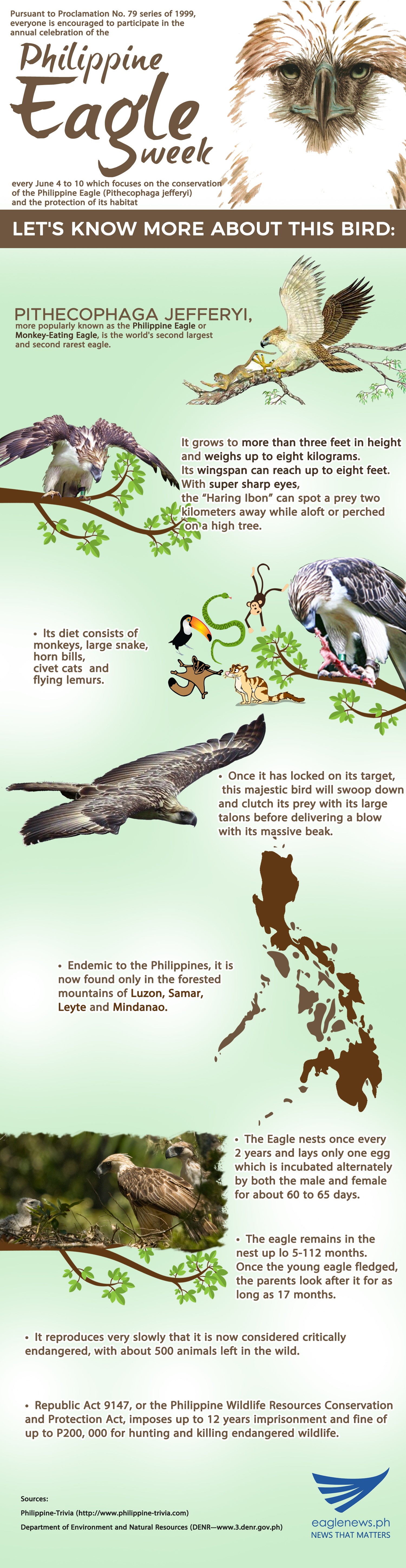 Philippine Eagle Week