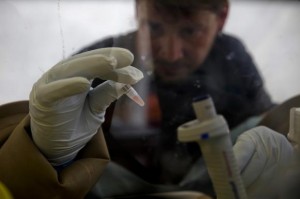 A scientist separates blood cells from plasma cells to isolate any Ebola RNA in order to test for the virus at the European Mobile Laboratory in Gueckedou April 3, 2014. CREDIT: REUTERS/MISHA HUSSAIN