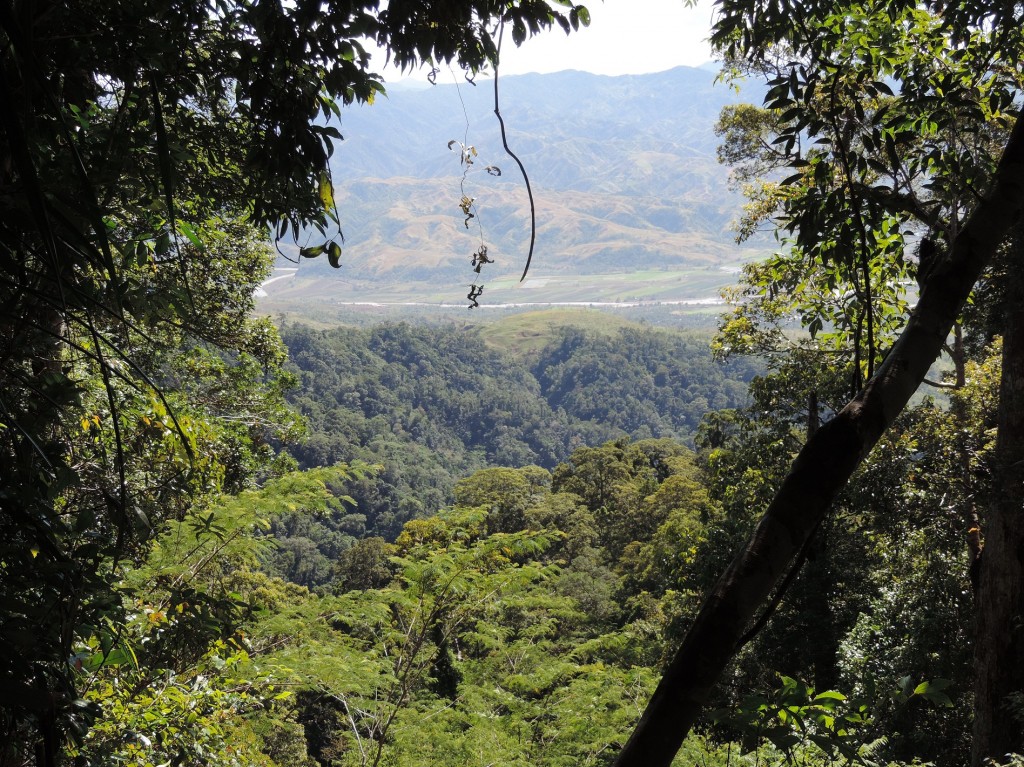 Figure 2 A view from our observation point at 800masl.