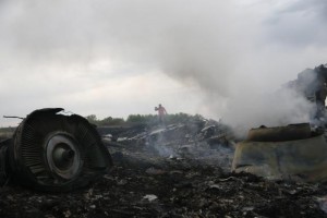 A man walks at the site of a Malaysia Airlines Boeing 777 plane crash near the settlement of Grabovo in the Donetsk region, July 17, 2014. Credit: Reuters/Maxim Zmeyev