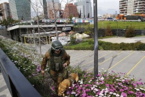 A police officer uses a dog to inspect an area where a bomb exploded in Santiago