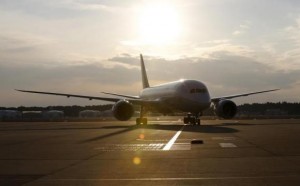 A United Airlines' Boeing Co's 787 Dreamliner plane (front) taxis after landing following its flight from Los Angeles, at New Tokyo international airport in Narita, east of Tokyo January 17, 2013. Credit: Reuters/Toru Hanai