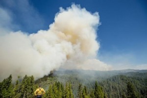 A firefighter watches the King Fire burn near Fresh Pond, California September 17, 2014.  REUTERS/Noah Berger