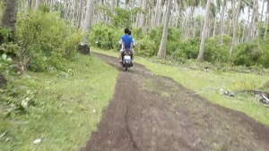 Some Albay residents still  insist on entering the six-kilometer danger zone around Mayon volcano to check on their livestock and harvest some of their crops.  (Eagle News Service) 