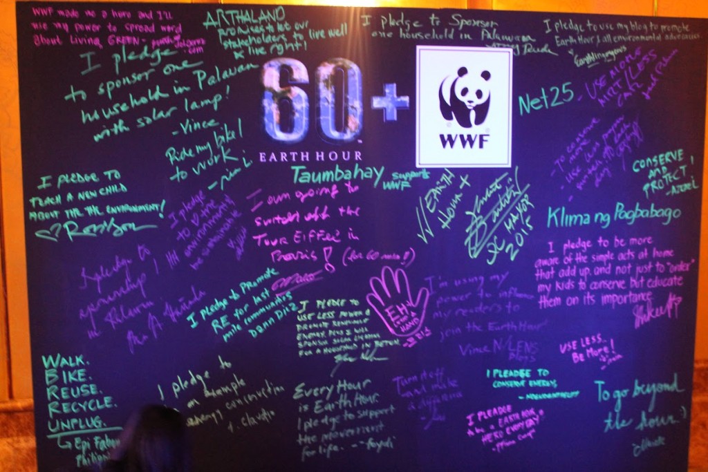 Earth Hour 2015 Launch (Kyle Solar and MM Maglasang) (139)