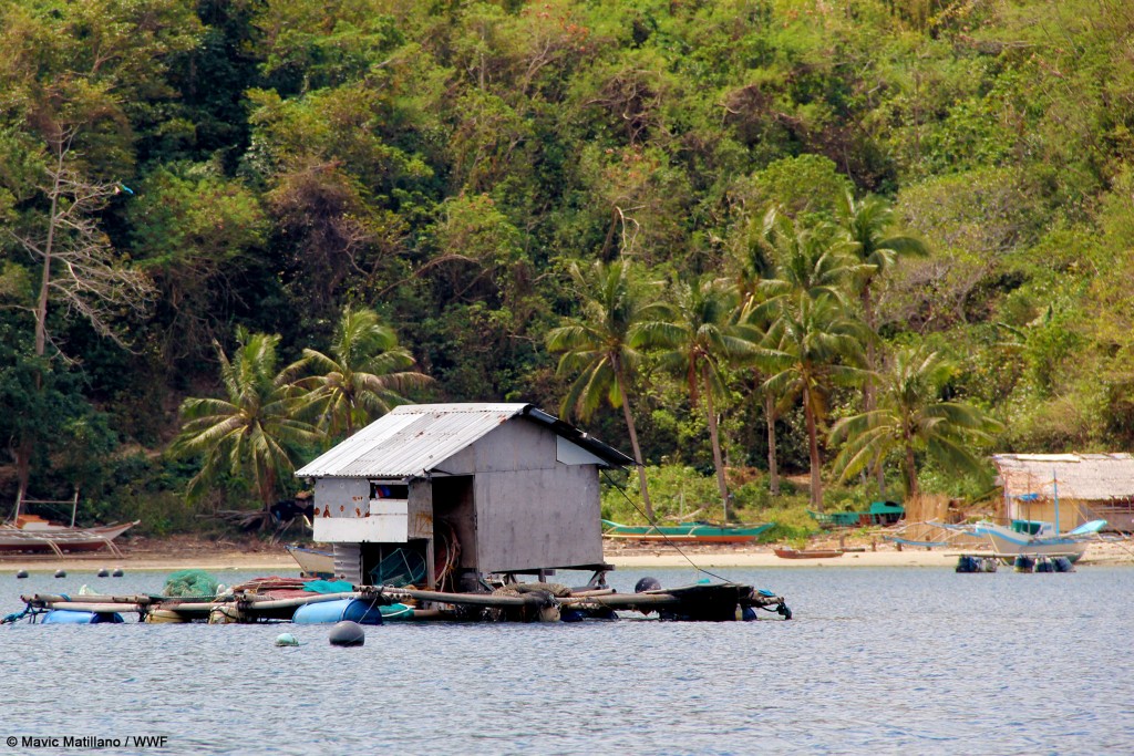 Beton in Palawan is located about 170 kilometres north of Puerto Princesa City in Palawan. Fishing and mariculture are the main sources of livelihood. Shown is a guardhouse crowning a floating grouper grow-out pen. (Mavic Matillano / WWF)