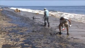 Clean up crews scooping gobs of oil off the sand and into buckets.  (Photo grabbed from Reuters video/Courtesy Reuters)