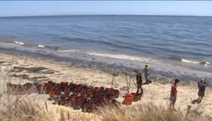 Clean-up crews scoop up fast forming globs of petroleum from oil spill off the coast of Santa Barbara. (Photo grabbed from Reuters video/Courtesy Reuters)