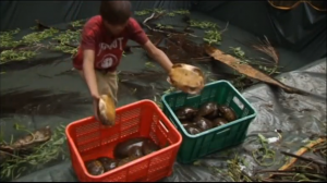 An animal conservation group treats endangered turtles that were rescued inside a warehouse and believed to be bound for the illegal pet trade in China.