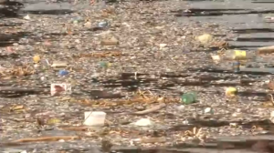 IOC_confident_over_Rio_games_amid_water_quality_issue_003