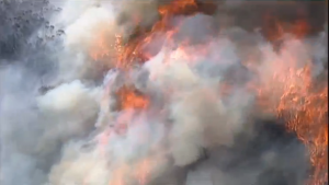 A bushfire continues to burn in Australia's Blue Mountains, fuelled by strong winds.  (Photo grabbed from Reuters video)