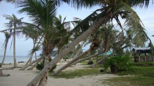 Sign of the damage by Typhoon Yolanda
