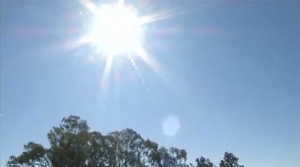 Drought_conditions_threaten_food_security_in_South_Africa_002