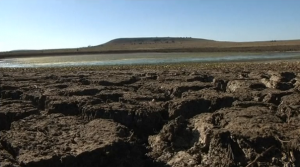 Drought_conditions_threaten_food_security_in_South_Africa_003
