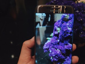 The larger Galaxy S7 Edge of Samsung has a 5.5 inch screen that is curved at the edges. (Eagle News Service)