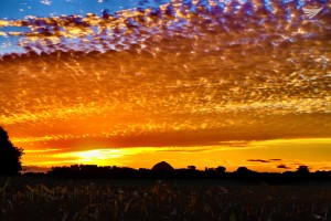 Mesmerizing sky in Pangasinan East by Raff Marquez (Eagle News Service)