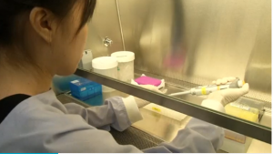 Researchers in Singapore have developed a kit to diagnose the rapidly spreading Zika virus.  (Courtesy Reuters/Photo grabbed from Reuters video)