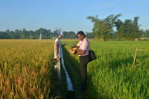 Even in the middle of agricultural fields, Iglesia Ni Cristo brethren distributed copies of the Pasugo magazine to their countrymen.