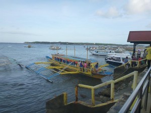 Photo courtesy of global-goose.com