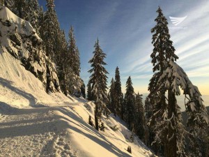 At the Grouse Mountain, peak of Vancouver. Photo by Arlene Cornel Jugado