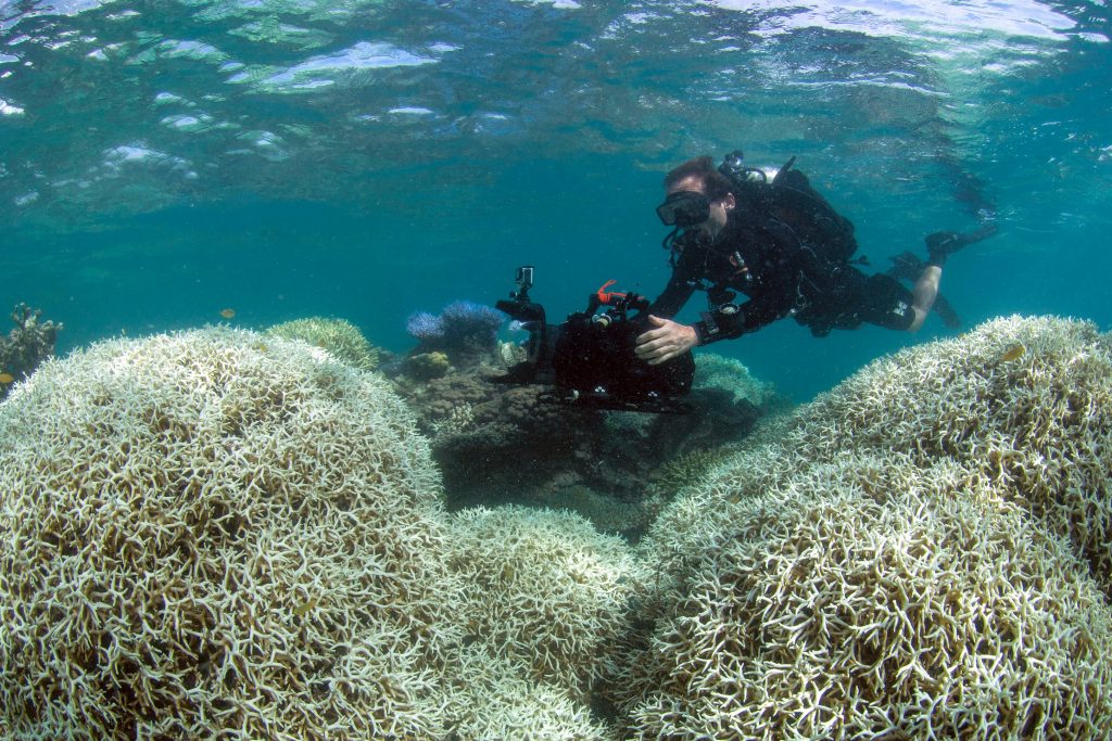 An undated handout photo obtained from the XL Catlin Seaview Survey on March 21, 2016 shows a diver filming a reef affected by bleaching off Lizard Island in the Great Barrier Reef. Environmental groups March 21 urged greater action on climate change after the government declared the highest alert level over an epidemic of coral bleaching in the pristine northern reaches of Australia's Great Barrier Reef. / AFP PHOTO / XL Catlin Seaview Survey / Handout / RESTRICTED TO EDITORIAL USE - MANDATORY CREDIT "AFP PHOTO / XL Catlin Seaview Survey" - NO MARKETING NO ADVERTISING CAMPAIGNS - DISTRIBUTED AS A SERVICE TO CLIENTS == NO ARCHIVE