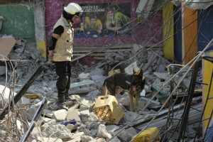 A Mexican rescuer with a sniffer dog searches for survivors amid the rubble in Pedernales, Ecuador on April 20, 2016.  A 6.1-magnitude earthquake struck off the coast of Ecuador on Wednesday, sowing new panic four days after a powerful quake killed more than 500 people and injured more than 5,000. / AFP PHOTO / RODRIGO BUENDIA