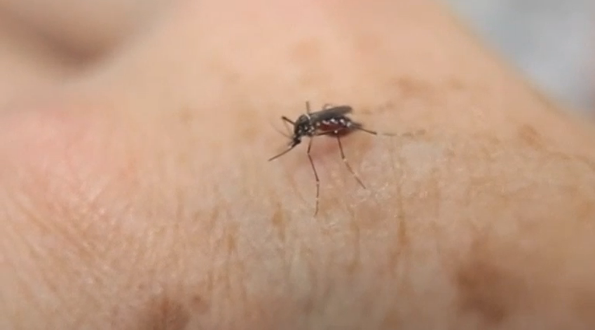 Colombia's health ministry confirms that the Andean nation has linked two microcephaly cases to the Zika virus.(photo grabbed from Reuters video) 