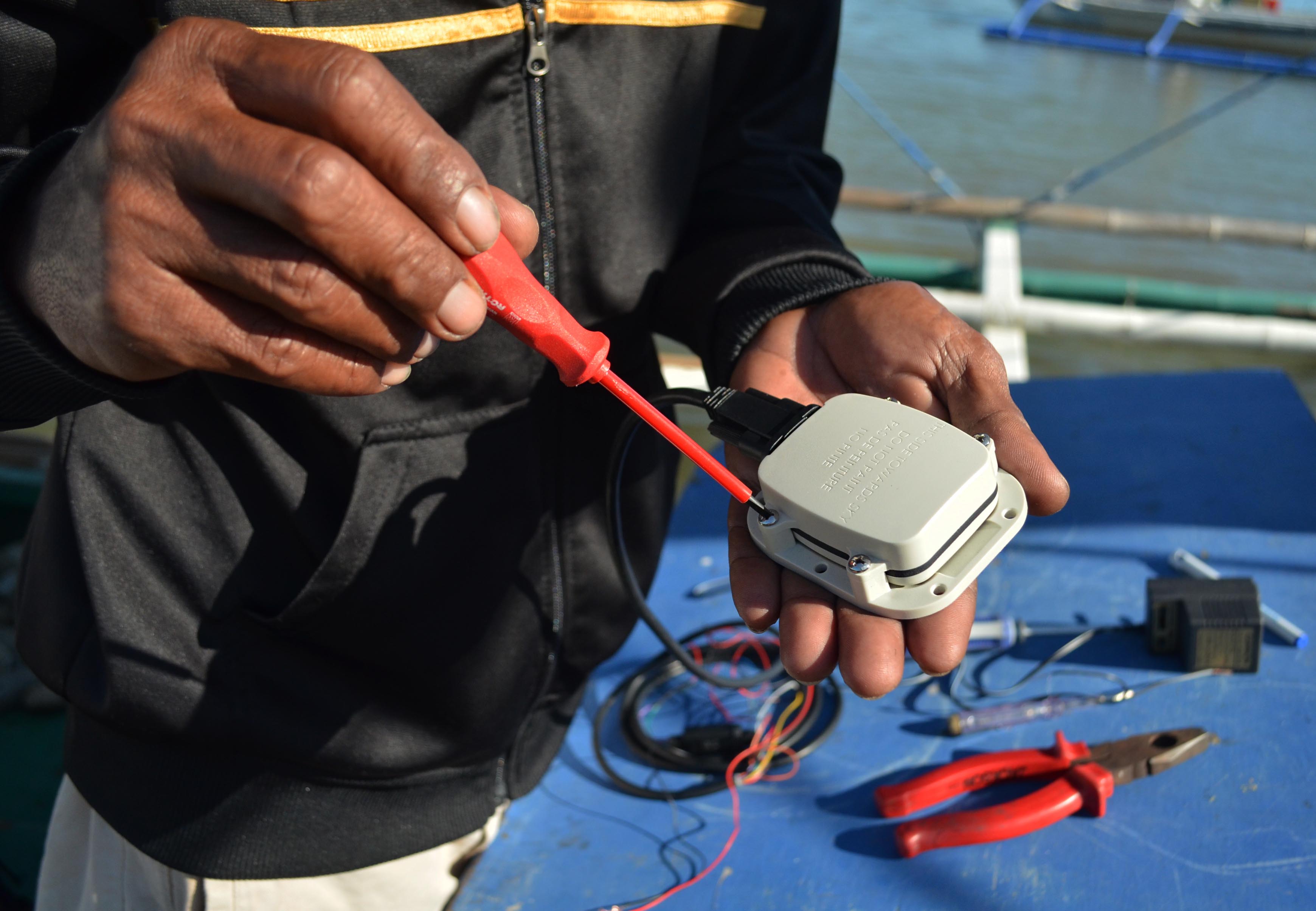 Tuna Story Images by Gregg Yan & WWF (3)