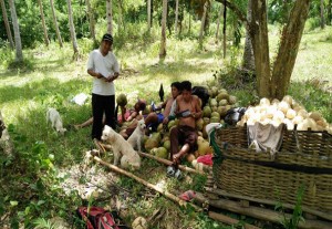 Mga kaanib ng Iglesia Ni Cristo sa lalawigan ng Camarines Norte, aktibong nakiisa sa WorldWide Distribution of Pamphlets