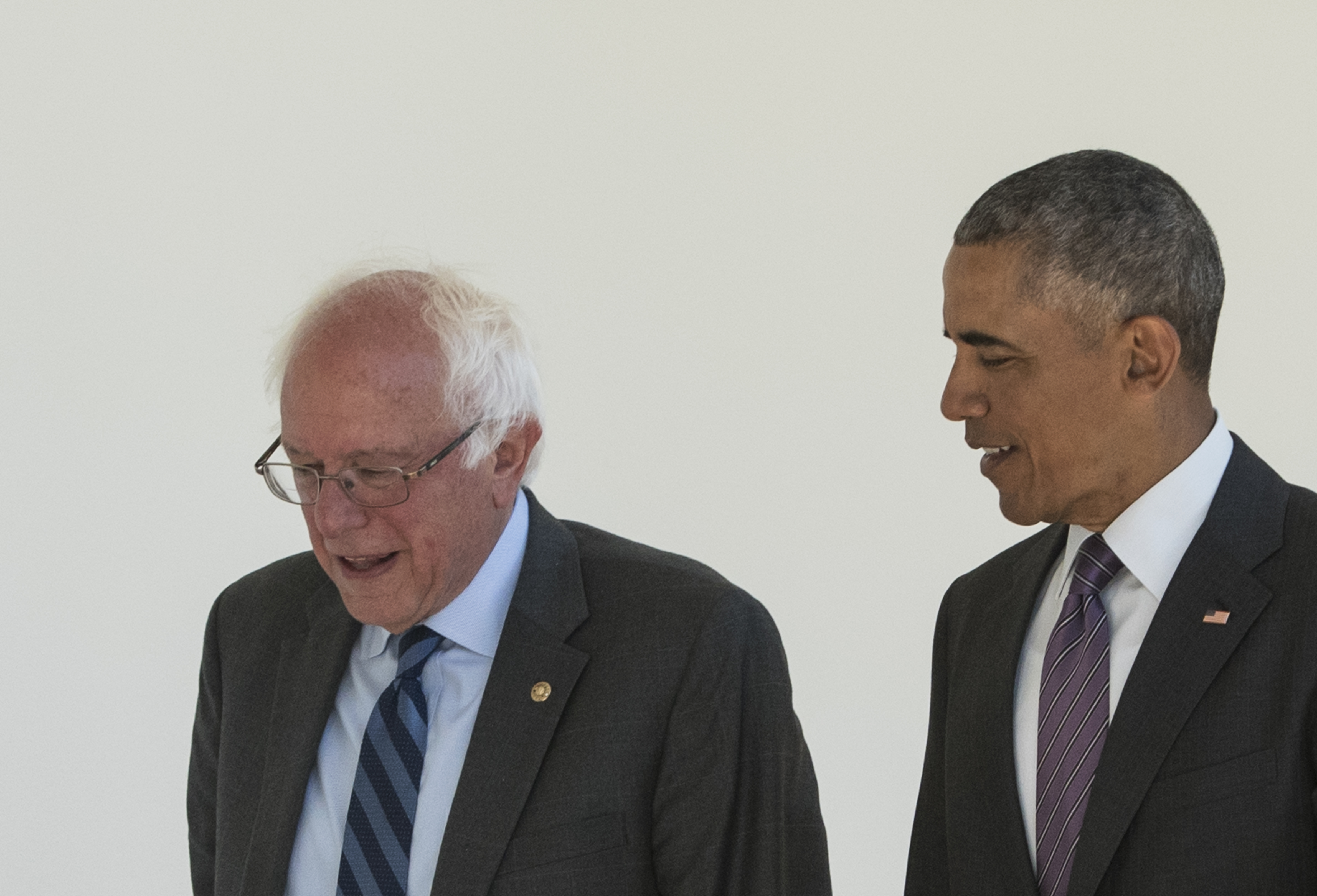 US President Barack Obama (R) walks with Democratic presidential candidate Bernie Sanders through the Colonnade for a meeting in the Oval Office on June 9, 2016 at the White House in Washington, DC. / AFP PHOTO / MANDEL NGAN