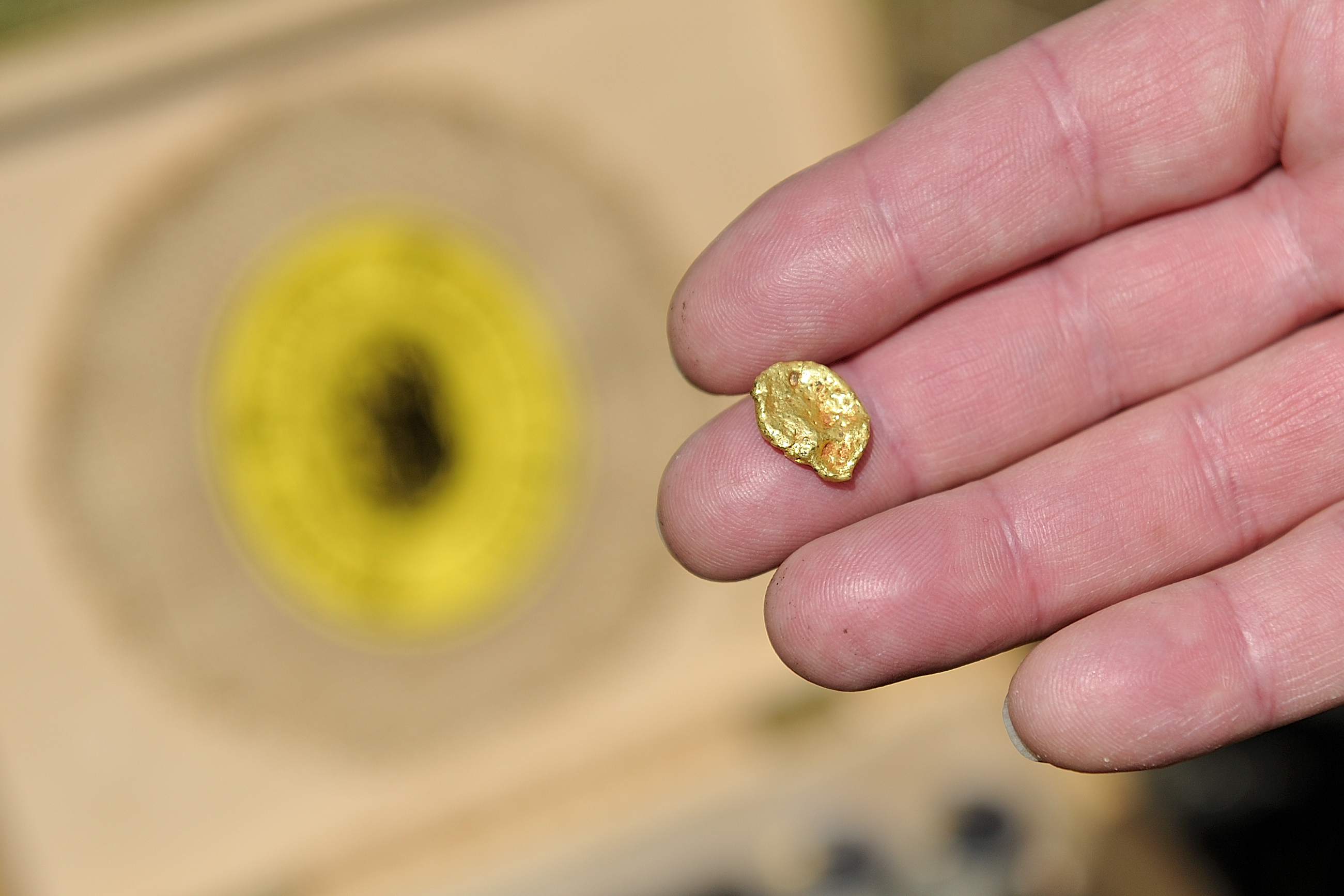 Gold prospector Roman Drozd shows his most valuable finding - a 4 gramms nugget -  during the International Championships in Gold Panning in Zlotoryja, Poland on May 28, 2016. Every year, with the arrival of warm weather, gold diggers from around the globe converge on the Kaczawa river in Poland's gold rush capital Zlotoryja to try their luck at panning. / AFP PHOTO / PIOTR HAWALEJ