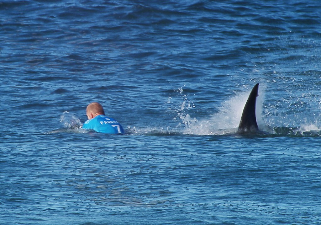 This handout screengrab made and released on July 19, 2015 by the Worl Surf League (WSL) shows Australian surfer Mick Fanning being attacked by a shark during the Final of the JBay surf Open on Sunday July 19, 2015 in Jeffreys Bay. Mick Fanning, 34, was competing in the final heat of a world tour event at Jeffreys Bay in the country's Eastern Cape province when a looming black fin appeared in the water behind him. He fought back against the shark, escaping from the terrifying scene without injury. AFP PHOTO / WSL ==RESTRICTED TO EDITORIAL USE - MANDATORY CREDIT "AFP PHOTO / WSL" - NO MARKETING - NO ADVERTISING CAMPAIGNS - DISTRIBUTED AS A SERVICE TO CLIENTS== / AFP PHOTO / WSL / -
