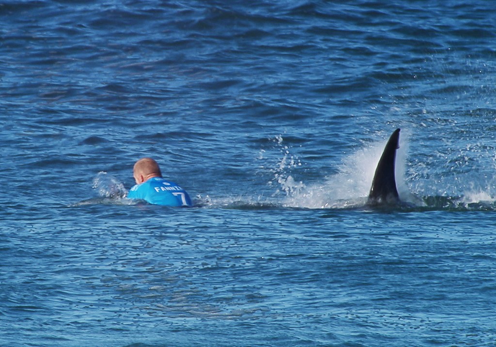 This handout screengrab made and released on July 19, 2015 by the Worl Surf League (WSL) shows Australian surfer Mick Fanning being attacked by a shark during the Final of the JBay surf Open on Sunday July 19, 2015 in Jeffreys Bay. Mick Fanning, 34, was competing in the final heat of a world tour event at Jeffreys Bay in the country's Eastern Cape province when a looming black fin appeared in the water behind him. He fought back against the shark, escaping from the terrifying scene without injury.    AFP PHOTO / WSL ==RESTRICTED TO EDITORIAL USE - MANDATORY CREDIT "AFP PHOTO / WSL" - NO MARKETING - NO ADVERTISING CAMPAIGNS - DISTRIBUTED AS A SERVICE TO CLIENTS== / AFP PHOTO / WSL / -