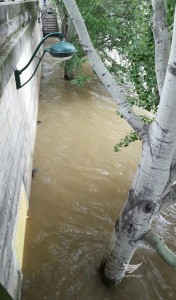 photo_2016-06-05_15-37-45