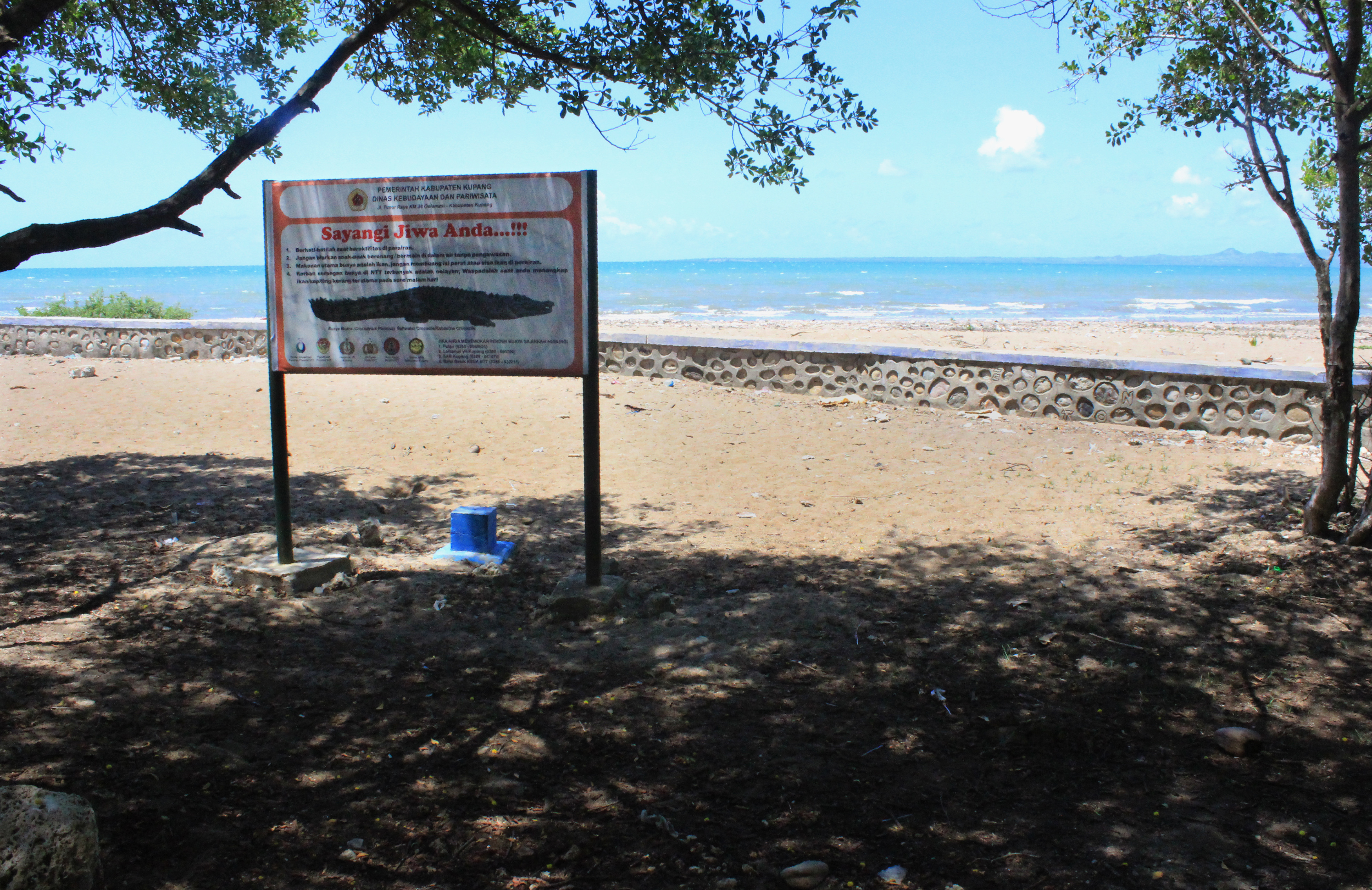This picture taken on July 27, 2016 shows a sign which reads "Mind Your Life", alerting people to the crocodile threat on a beach in Kupang, in East Nusa Tenggara province. An Indonesian city has hit on an original idea to rid its popular beaches of crocodiles -- it will offer cash prizes to people who catch the man-eating reptiles, an official said on August 5.  / AFP PHOTO / Joey CHRISTIAN
