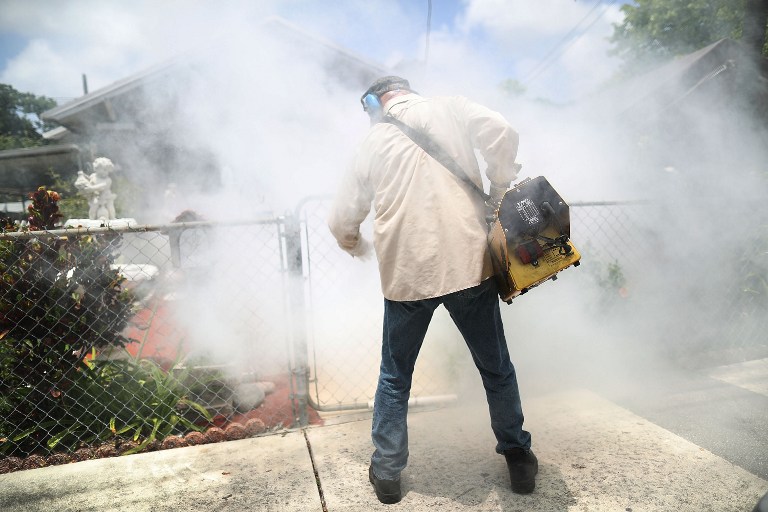 (FILES) This file photo taken on August 1, 2016 shows Carlos Varas, a Miami-Dade County mosquito control inspector,as he uses a Golden Eagle blower to spray pesticide to kill mosquitos in the Wynwood neighborhood as the county fights to control the Zika virus outbreak in Miami, Florida. Research using lab mice has shown for the first time that infection with the mosquito-borne Zika virus may damage adult brain cells, not just developing fetuses, said a study August 18, 2016. Adult cells involved in learning and memory can be destroyed by the viral infection, which is also blamed for a surge in the birth defect microcephaly, according to the findings in the journal Cell Stem Cell. / AFP PHOTO / GETTY IMAGES NORTH AMERICA / JOE RAEDLE