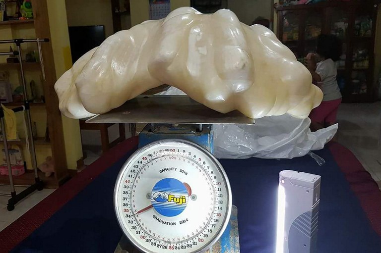 This undated handout photo released on August 23, 2016 by the Puerto Princessa Tourism Office shows a 34-kilogramme (75-pound) pearl on a weighing scale in Puerto Princesa City in southern island of Palawan. A poor Philippine fisherman found what is thought to be the world's largest pearl, but hid it under his bed for a decade without knowing its worth, local authorities said. / AFP PHOTO / Puerto Princessa Tourism Office / Handout / RESTRICTED TO EDITORIAL USE - MANDATORY CREDIT "AFP PHOTO / PUERTO PRINCESA TOURISM OFFICE" - NO MARKETING NO ADVERTISING CAMPAIGNS - DISTRIBUTED AS A SERVICE TO CLIENTS == NO ARCHIVE