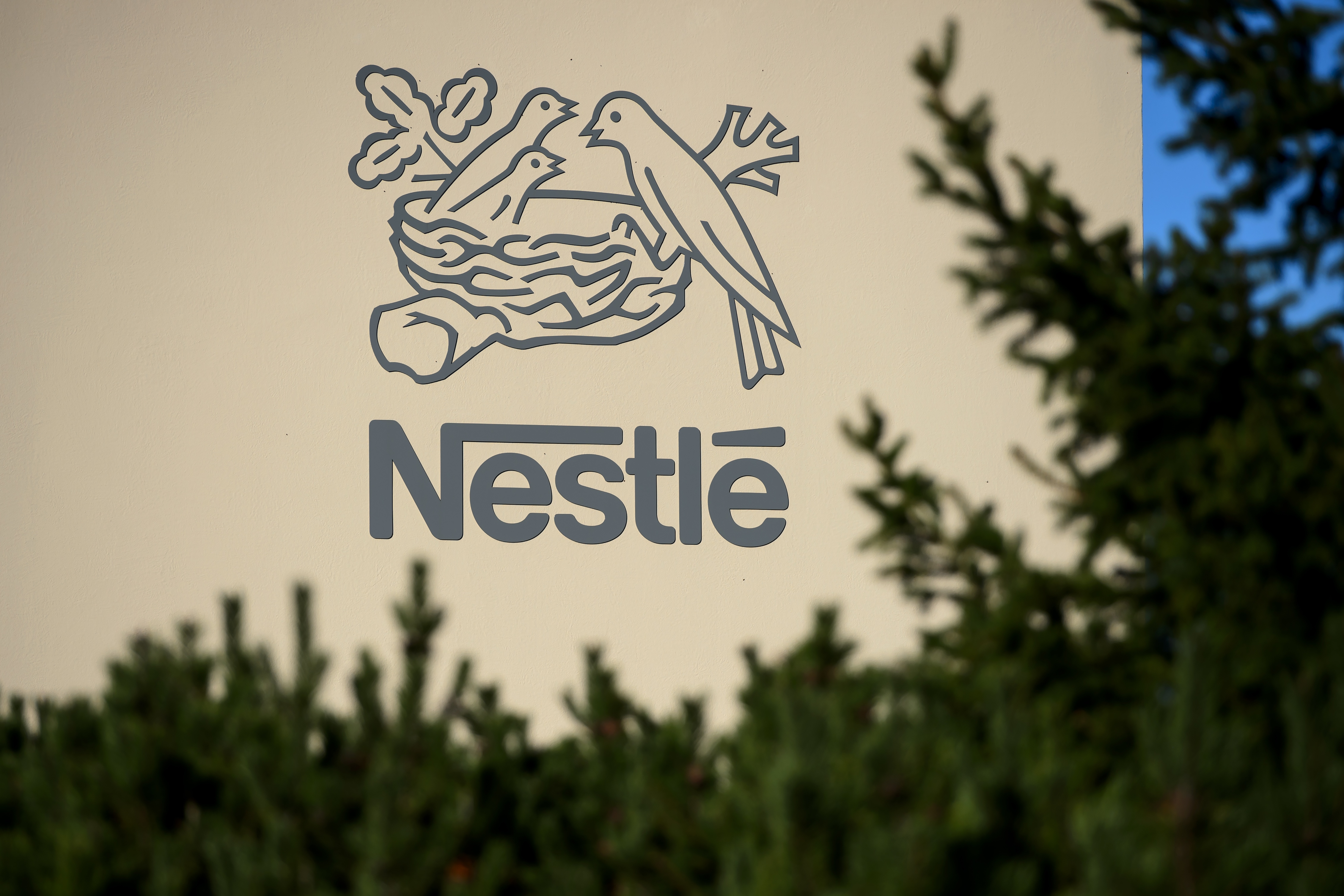 A logo of the world's leading food industry group Nestle is seen on October 9, 2014 at the group's Research Center in Vers-chez-les-Blanc above Lausanne. AFP PHOTO / FABRICE COFFRINI / AFP PHOTO / FABRICE COFFRINI