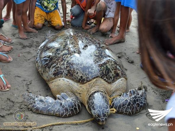 14055004_1086249371462776_8801676217286734492_n