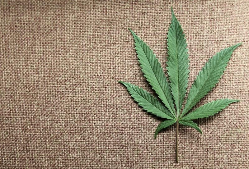 A marijuana leaf is displayed at Canna Pi medical marijuana dispensary in Seattle, Washington, November 27, 2012.   REUTERS/Anthony Bolante