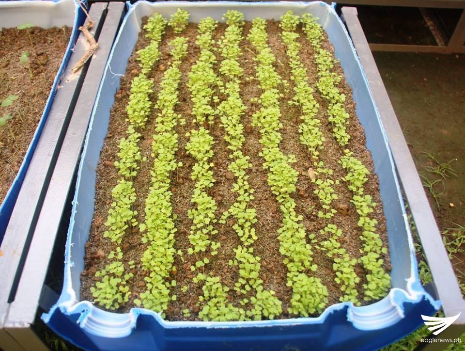 850514346_125225_14066762893306403469