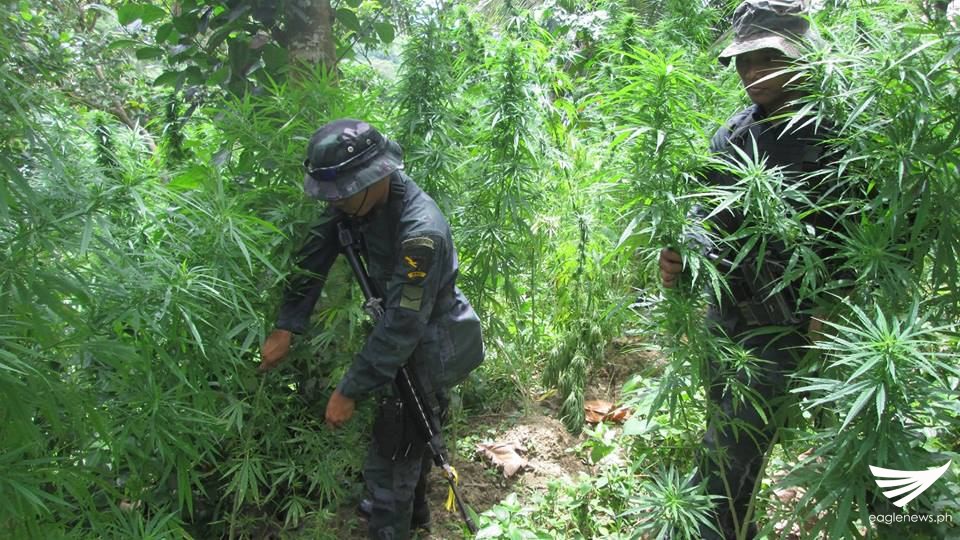 850520475_20900_9091124166086454328