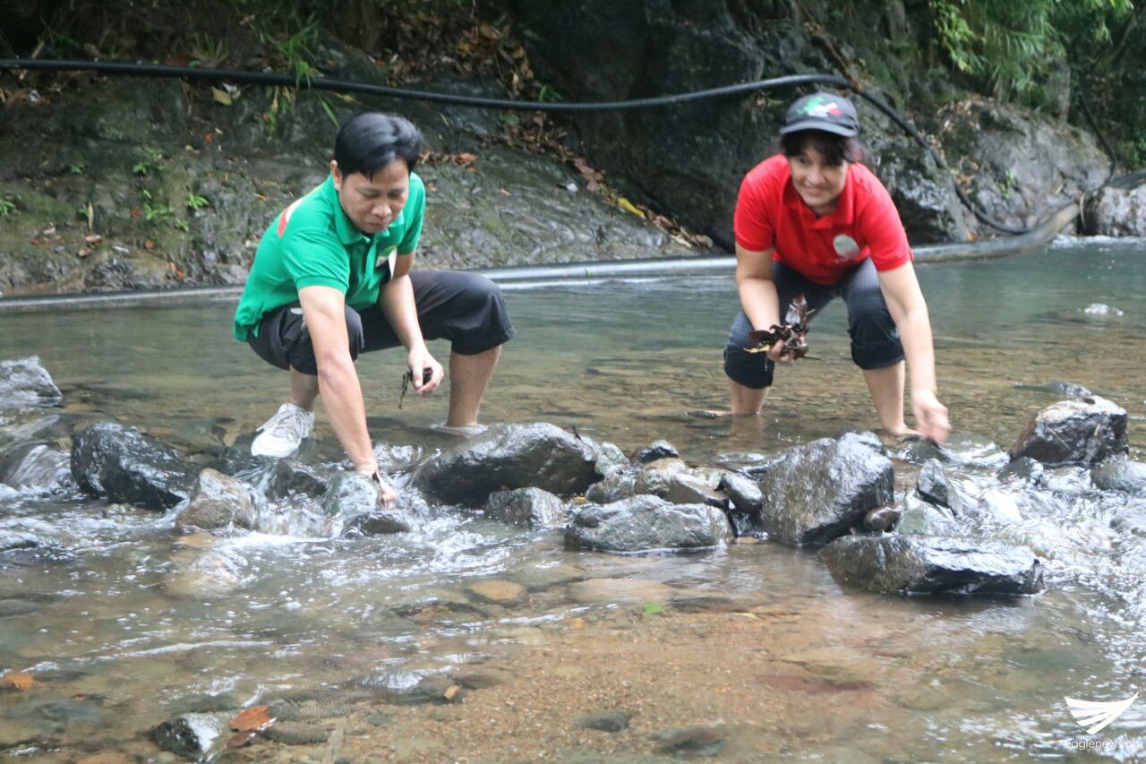 850614738_21500_16237218571575540309