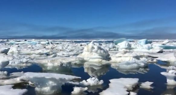 Record-breaking temperatures in the first half of 2016 have primed the Arctic for another summer of low sea ice cover, NASA scientist says.   Photo courtesy: NASA