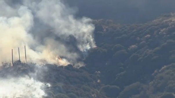 California firefighters battle wildfire in San Bernardino National Forest. (Photo captured from Reuters video)