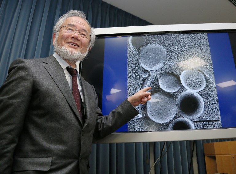 This photo taken on March 25, 2015 shows Japanese scientist Yoshinori Ohsumi speaking during a press conference at the Ministry Of Education in Tokyo. Yoshinori Ohsumi of Japan on October 3, 2016 won the Nobel Medicine Prize for his work on autophagy -- a process whereby cells "eat themselves" -- which when disrupted can cause Parkinson's and diabetes.  / AFP PHOTO / JIJI PRESS / JIJI PRESS / Japan OUT