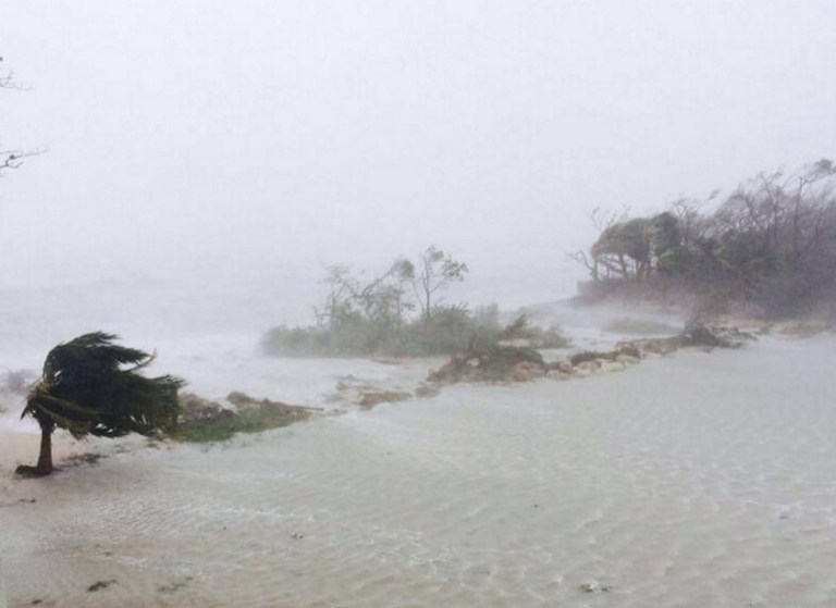 Trees are blowen sideways as hurricane Matthew makes landfall in Adelaide, New Providence island in the Bahamas, on October 6, 2016.  Shelters along the eastern coast of Florida were jammed amid a frantic race to protect people and pets from the "potentially catastrophic" effects of Hurricane Matthew as the deadly storm barrels in from the Caribbean. / AFP PHOTO / Catherone CHISNELL