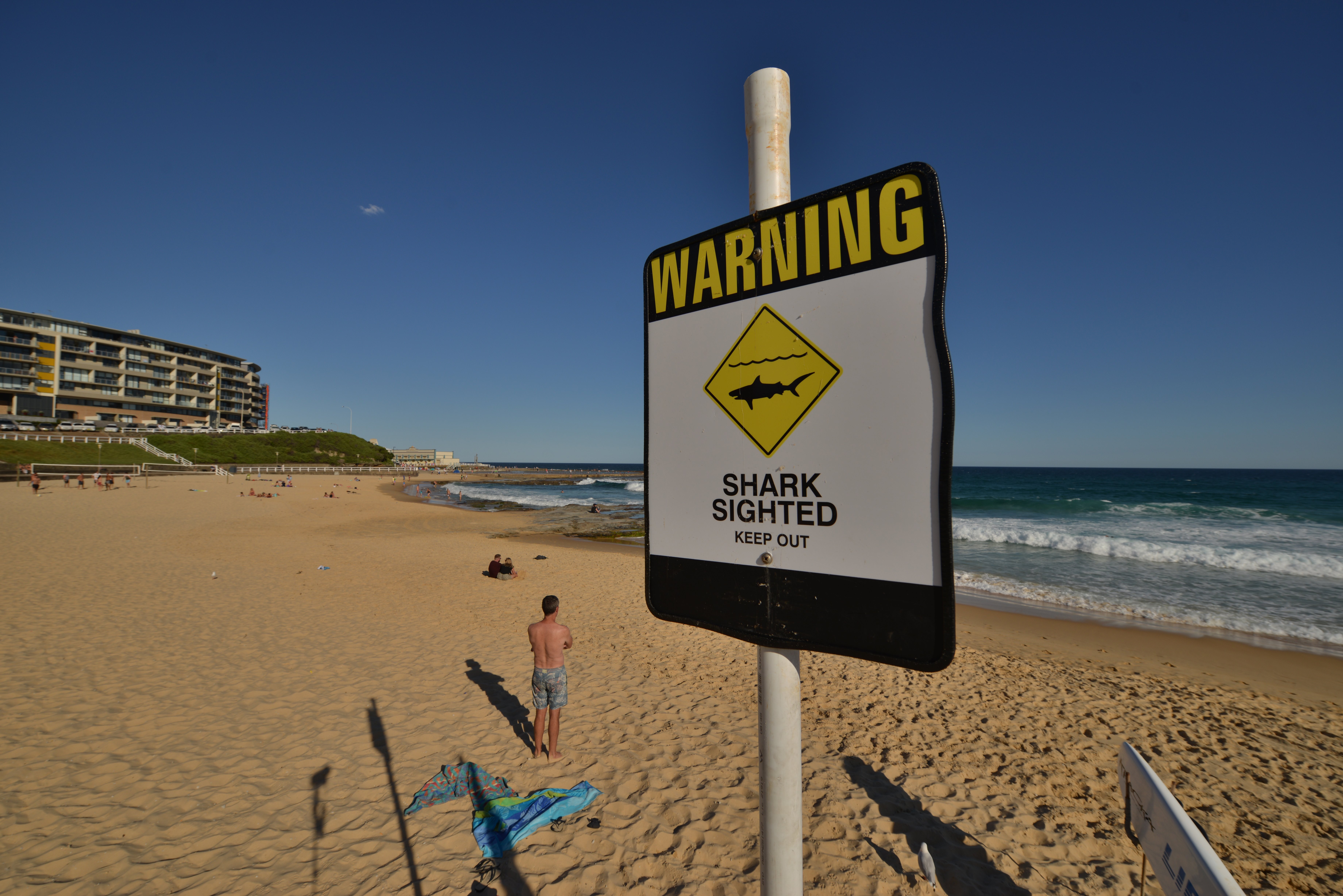 A shark warning sign is seen posted on the beach in the northern New South Wales city of Newcastle on January 17, 2015. Australian surfers and swimmers defied beach closures on the country's east coast on January 17, taking to the water despite repeated shark sightings over the past week and an attack on a teenage spearfisher.       AFP PHOTO / Peter PARKS / AFP PHOTO / PETER PARKS